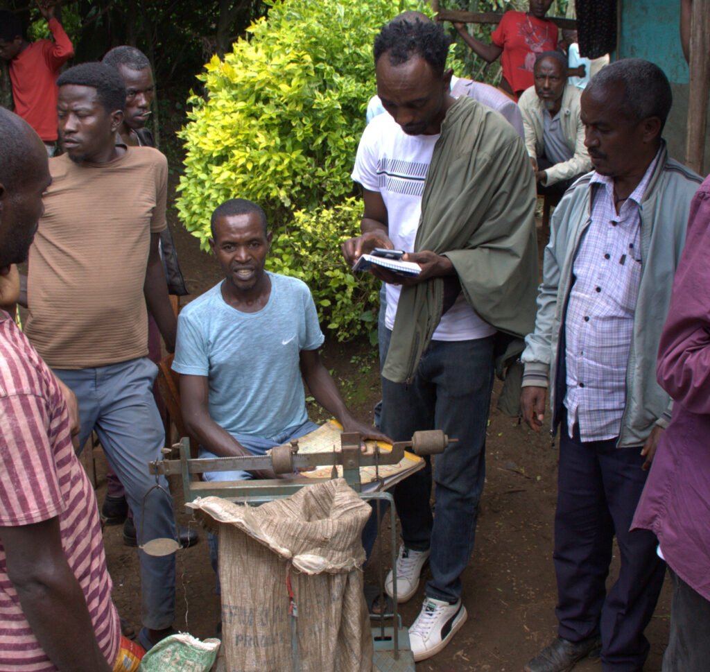 Comparing mobile data collection against the paper forms during a coffee harvest at one of the collection hubs in Giz Meret.